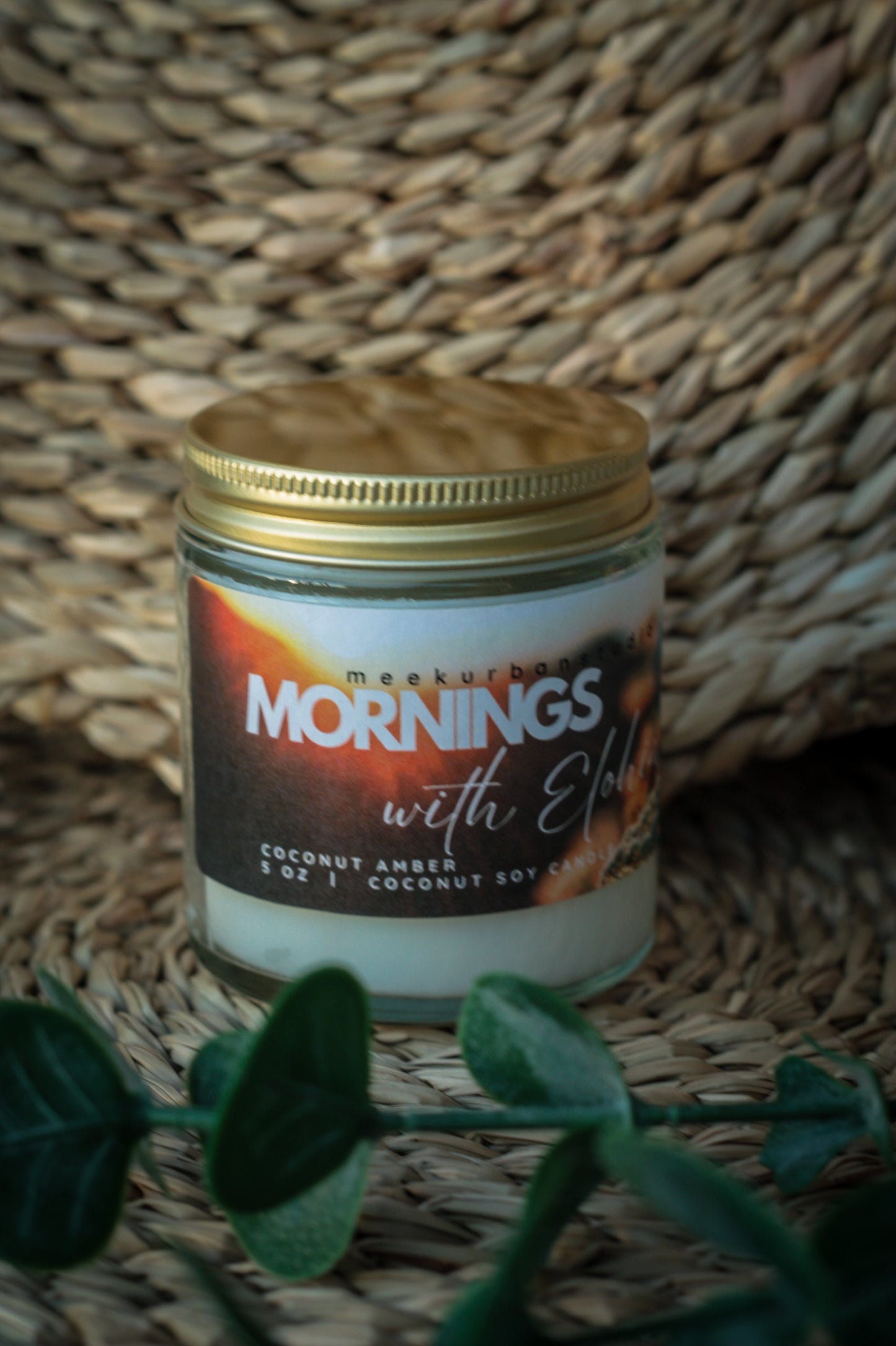 Mornings with Elohim