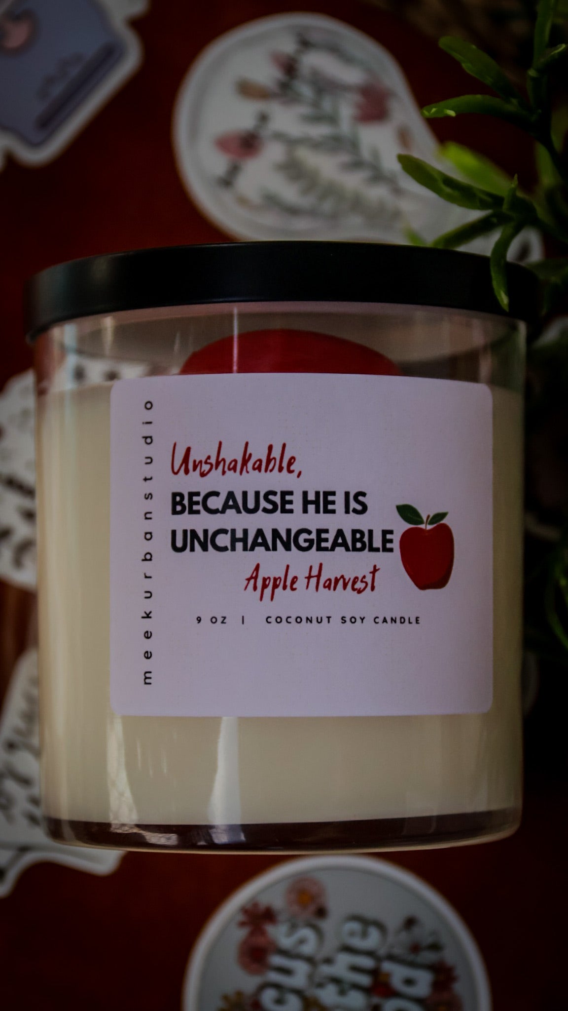 Unshakable,
BECAUSE HE IS UNCHANGEABLE