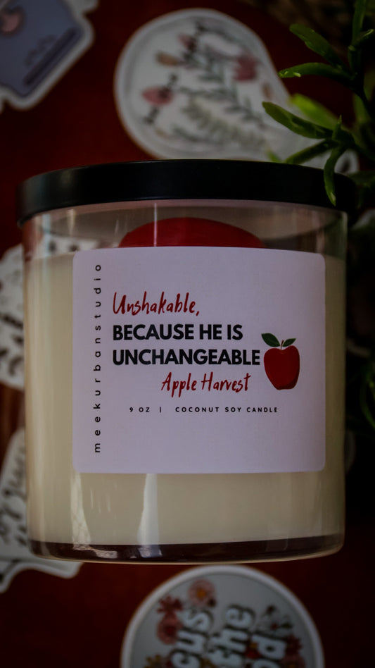 Unshakable,
BECAUSE HE IS UNCHANGEABLE