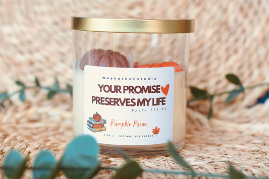 Your promise preserves my life